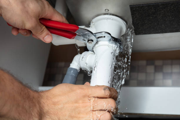 Best Mold removal after water damage  in Hector, MN