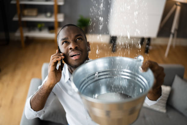Best Ceiling water damage repair  in Hector, MN