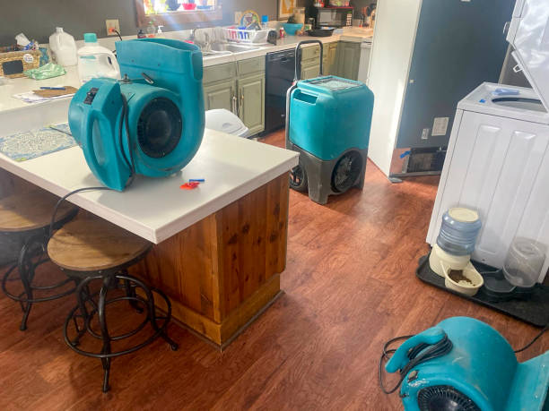 Best 24/7 water damage repair  in Hector, MN