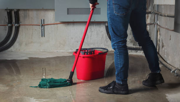 Best Professional water damage repair  in Hector, MN