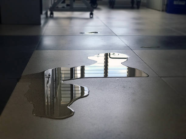 Best Local water damage restoration  in Hector, MN