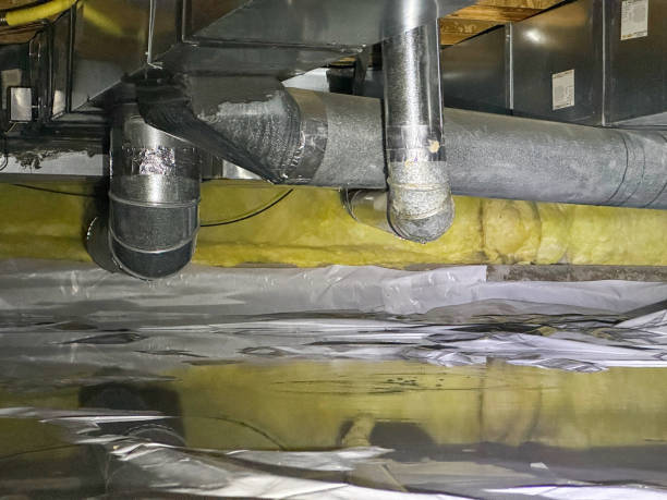 Best 24/7 water damage repair  in Hector, MN